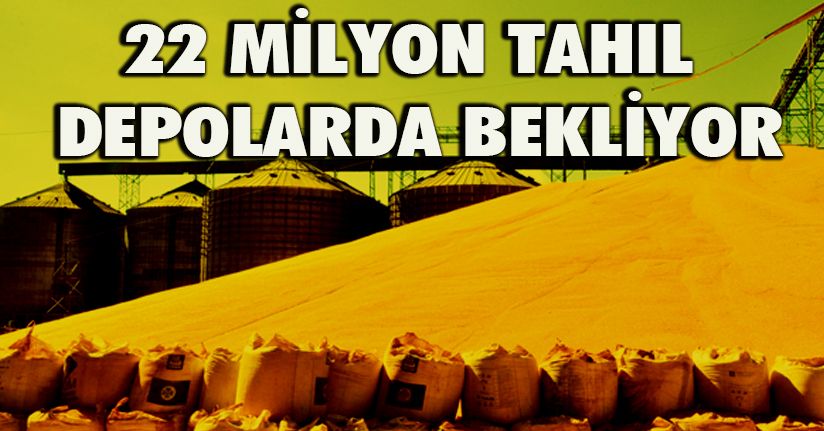 Ukrayna Devlet Başkanı Zelenskiy: '22 milyon ton tahıl depolarda bekletiliyor'