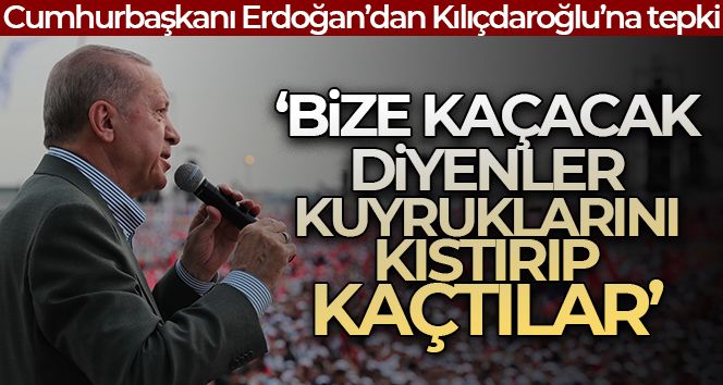 Cumhurbaşkanı Erdoğan: 'Bize kaçacak diyenler kuyruklarını kıstırıp kaçtılar'