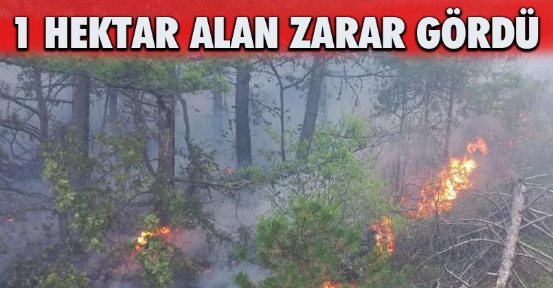 Bolu'da çıkan orman yangınında 1 hektar alan zarar gördü