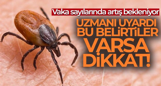 Kene ısırması belirtisi nasıl anlaşılır?