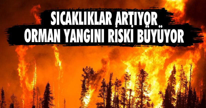 Sıcaklıklar Artıyor, Orman Yangını Riski Büyüyor