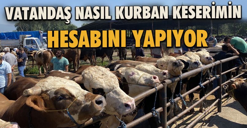 Vatandaş Nasıl Kurban Keserimin Hesabını Yapıyor