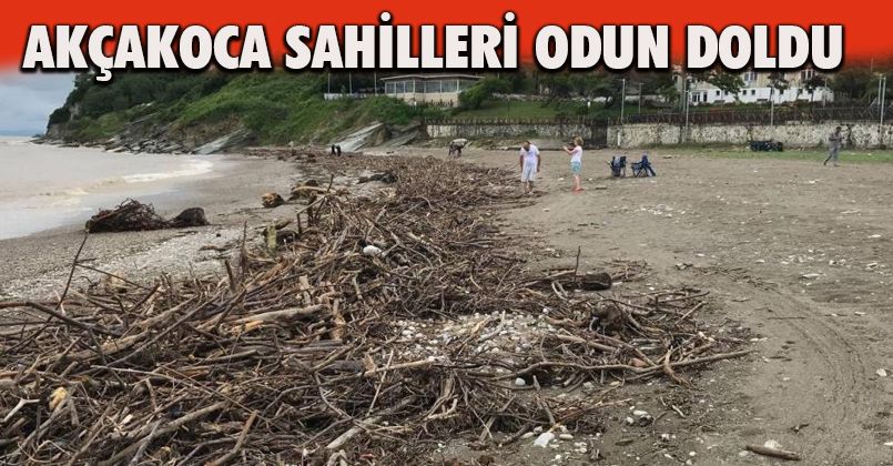 Aşırı yağışlarla gelen ağaç ve çöpler Akçakoca’da sahile vurdu