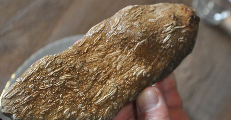 Şırnak'ta 50 milyon yıllık olduğu değerlendirilen fosil bulundu