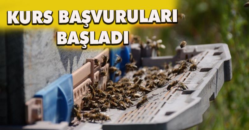 Bal arısı zehri üretim kurs başvuruları başladı