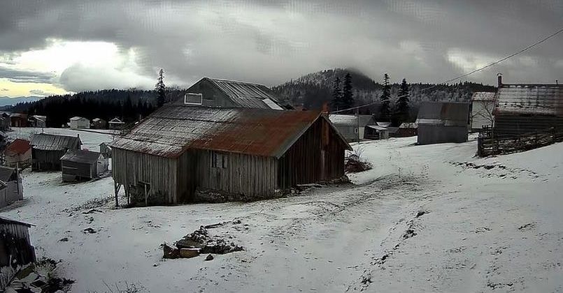 Sakarya'da yüksek kesimlere yılın ilk karı yağdı