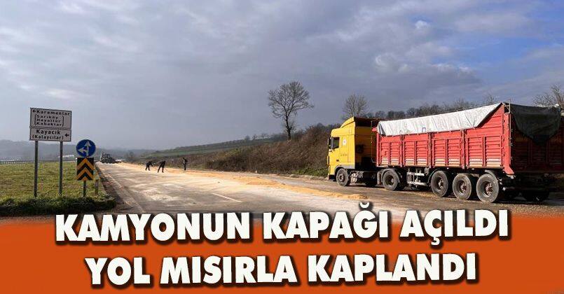 Kamyonun kapağı açıldı, yol mısırla kaplandı