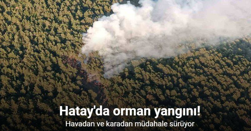 Hatay’da orman yangınına havadan ve karadan müdahale sürüyor