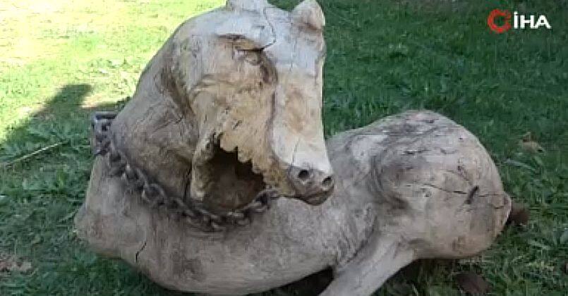 Bahçesini kendi için yaşam alanına çevirdi