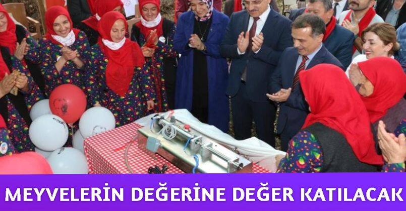 Meyvelerin değerine değer katılacak