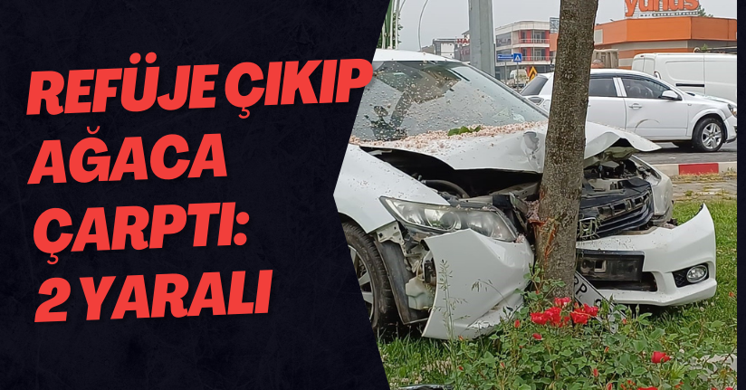 Düzce'de Kaza Sonrası Refüje Çıkan Otomobil Ağaca Çarptı: 2 Yaralı