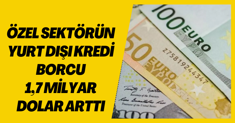 Özel sektörün yurt dışı kredi borcu 1,7 milyar dolar arttı