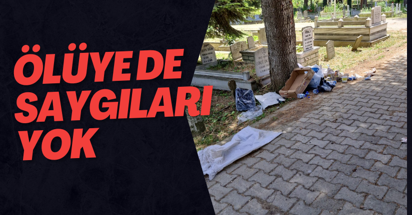 Ölüye de Saygıları Yok