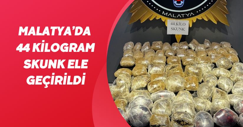 Malatya’da 44 kilogram skunk ele geçirildi