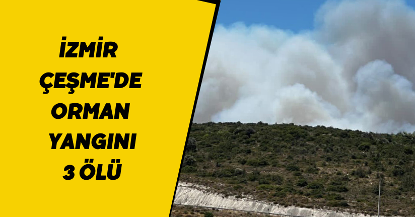 İzmir Çeşme'de orman yangını: 3 ölü