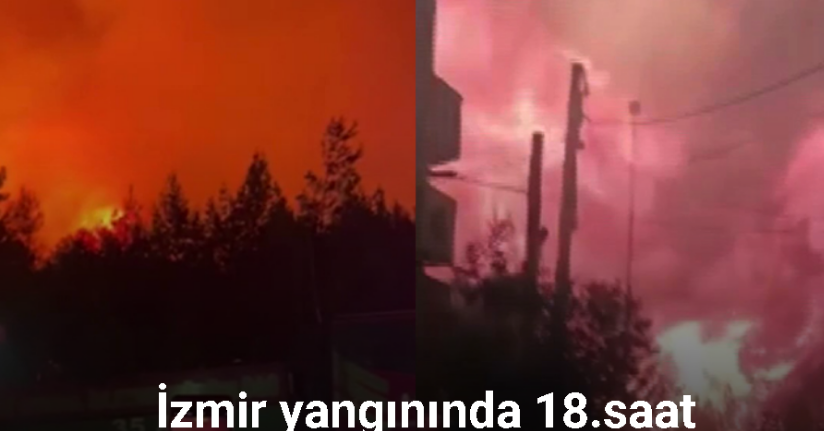 İzmir’de orman yangınıyla mücadele 18’inci saatte