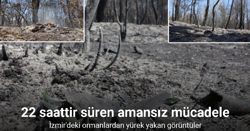 İzmir’deki ormanlardan yürek yakan görüntüler