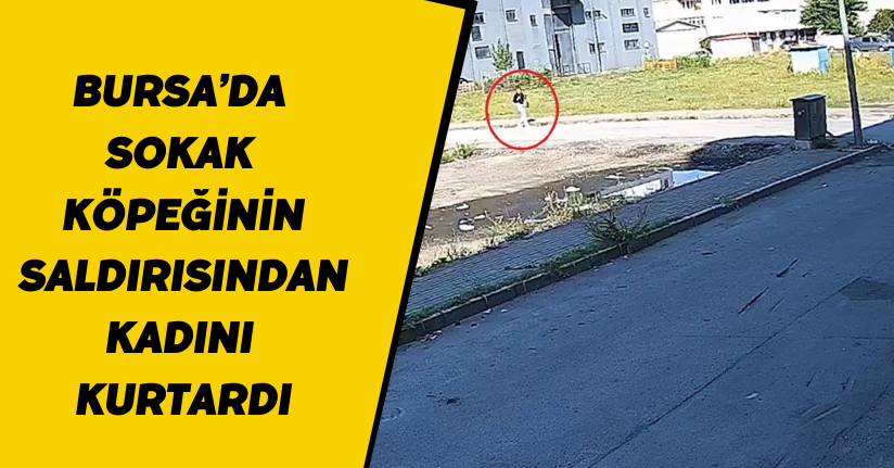 Bursa’da sokak köpeğinin saldırısından kadını kurtardı... O anlar kamerada
