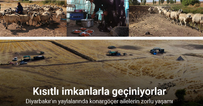 Diyarbakır'ın yaylalarında konargöçer aileler zorlu yaşamını idame ettiriyor