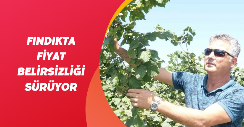 Fındıkta fiyat belirsizliği sürüyor