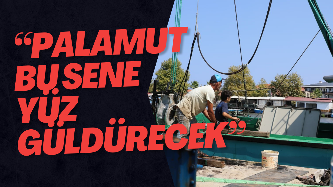 “Palamut Bu Sene Yüz Güldürecek”