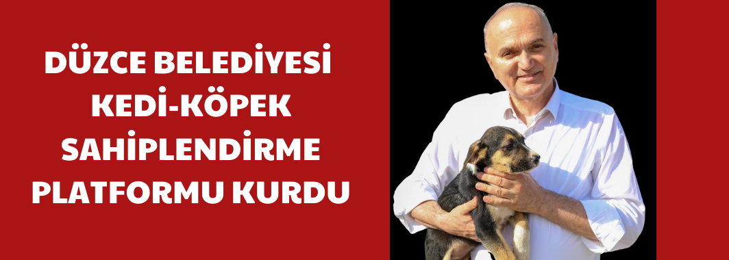 Kedi-Köpek Sahiplendirme Platformu Kuruldu