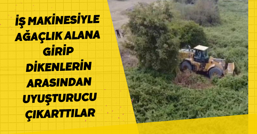 İş makinesiyle ağaçlık alana girip dikenlerin arasından uyuşturucu çıkarttılar