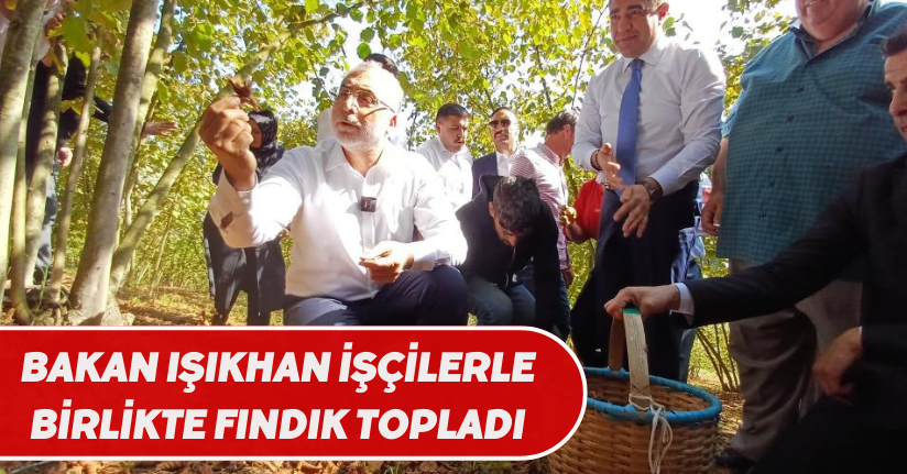 Bakan Işıkhan, işçilerle birlikte fındık topladı