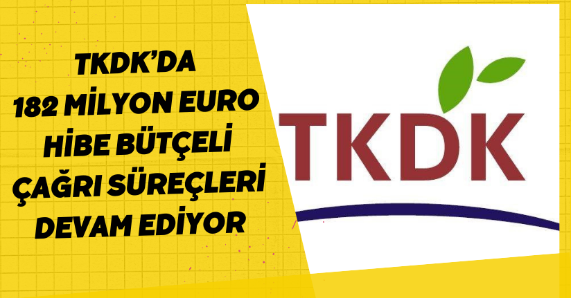 TKDK’da 182 milyon Euro hibe bütçeli çağrı süreçleri devam ediyor