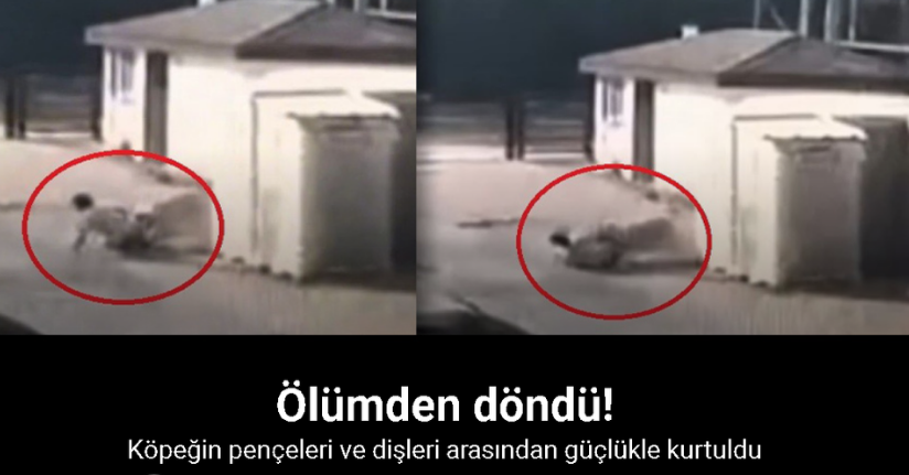 Köpeğin saldırma anı kamerada