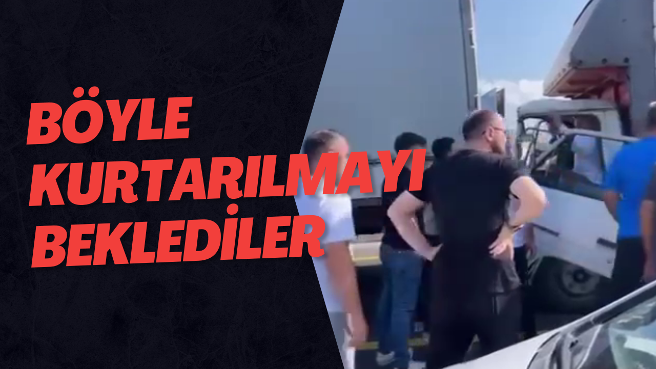 Böyle Kurtarılmayı Beklediler