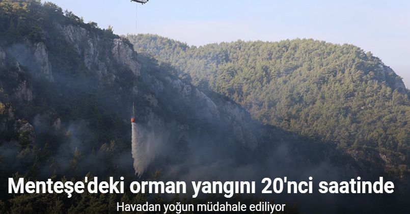 Menteşe’deki orman yangını 20’nci saatinde: Havadan yoğun müdahale ediliyor