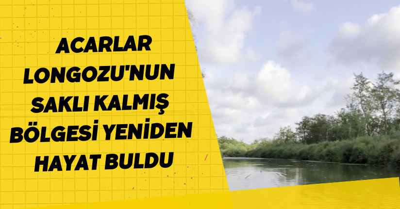 Acarlar Longozu'nun saklı kalmış bölgesi yeniden hayat buldu