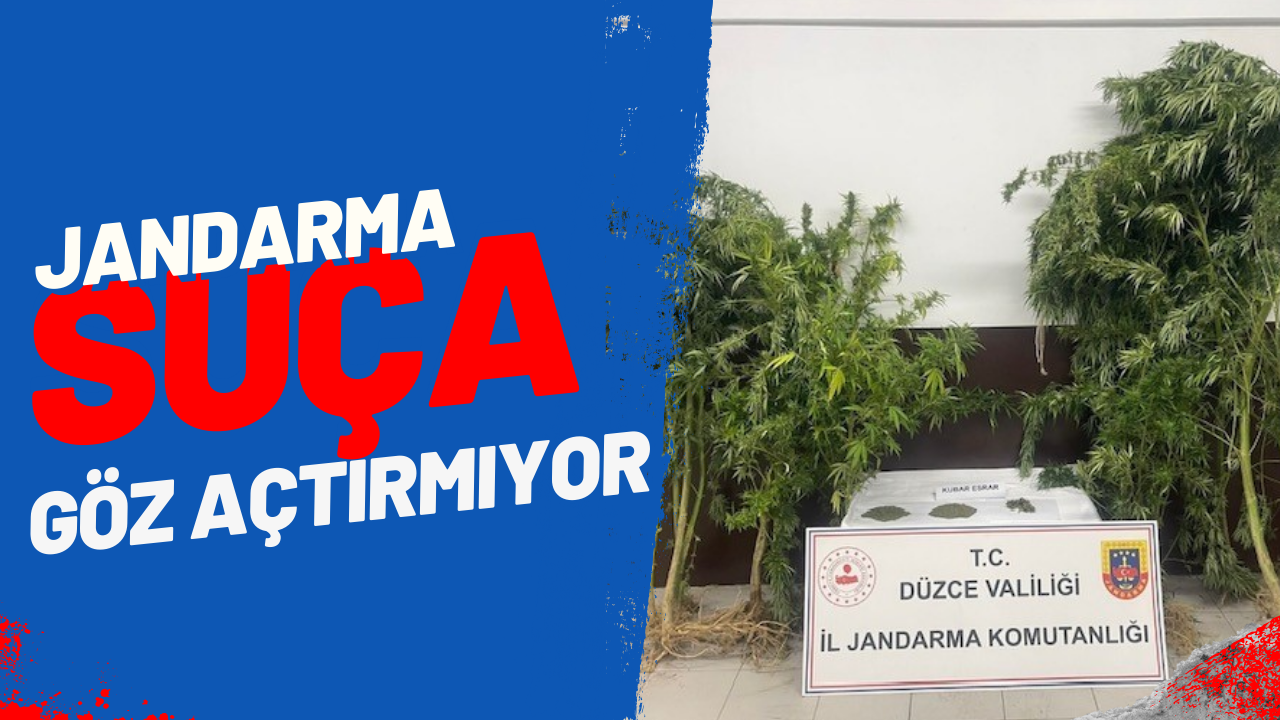 Jandarma ekipleri 1 haftada bir çok olayı çözümledi