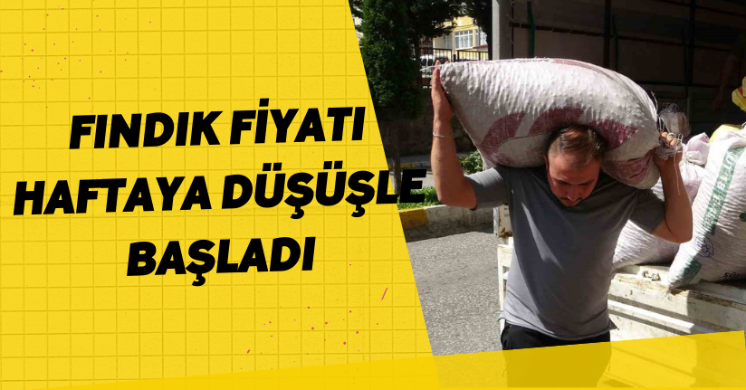 Fındık fiyatı haftaya düşüşle başladı