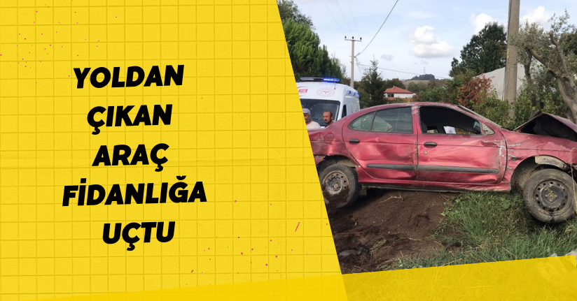 Yoldan çıkan araç fidanlığa uçtu