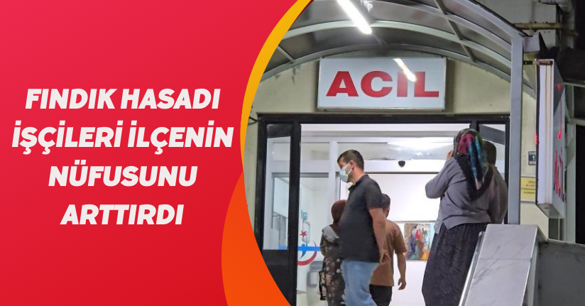 Fındık hasadı işçileri ilçenin nüfusunu arttırdı