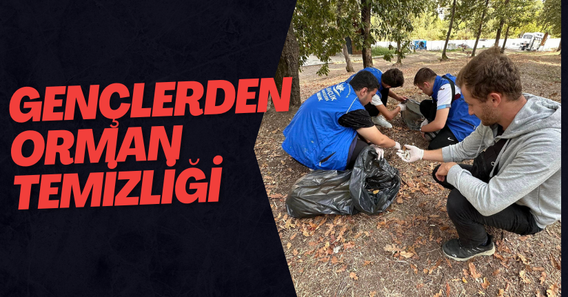 Gençlerden Orman Temizliği