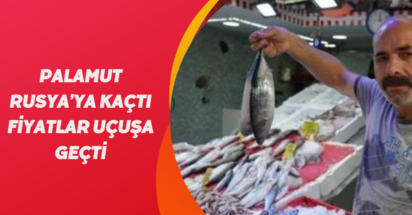 Palamut Rusya’ya kaçtı: Fiyatlar uçuşa geçti