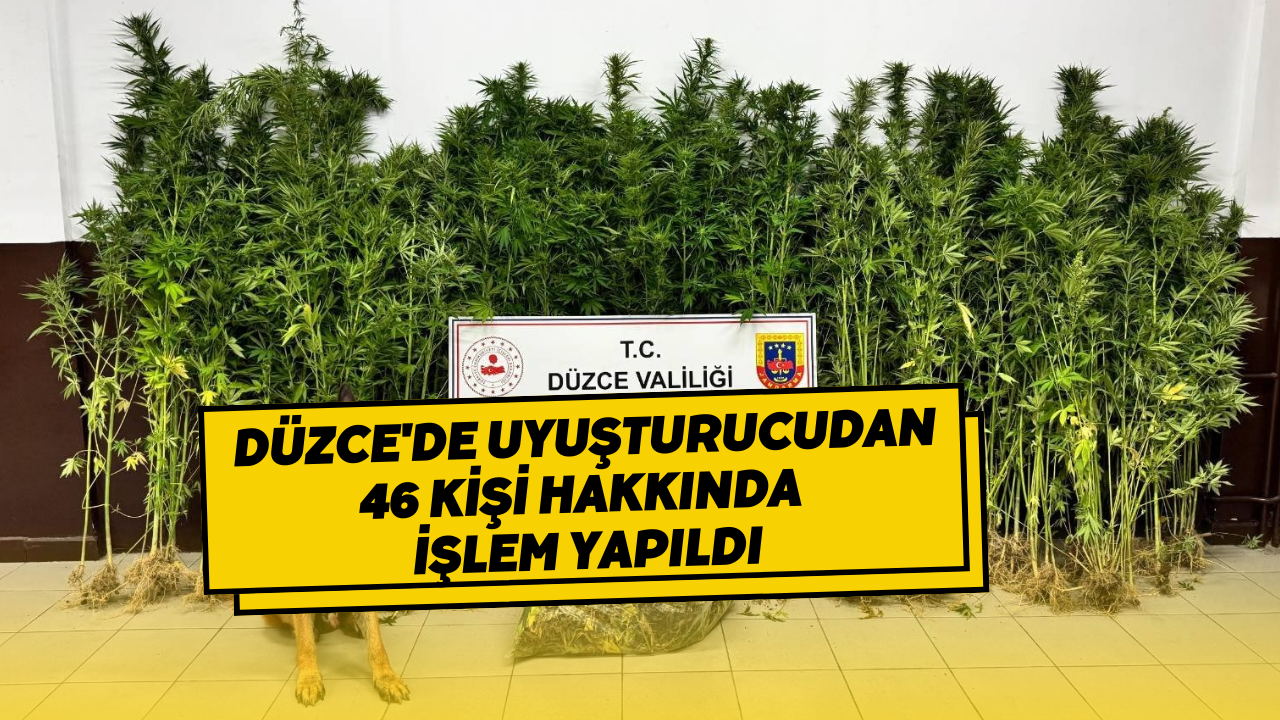 Düzce'de Uyuşturucudan 46 Kişi Hakkında İşlem Yapıldı