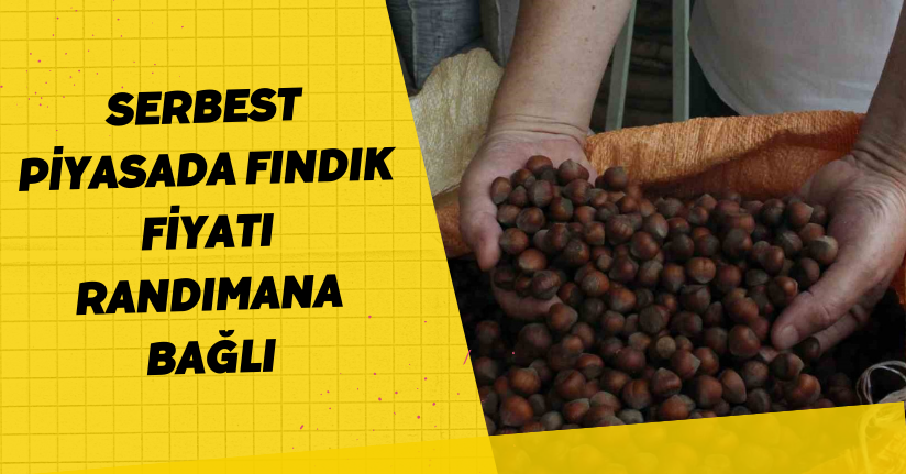 Serbest piyasada fındık fiyatı randımana bağlı