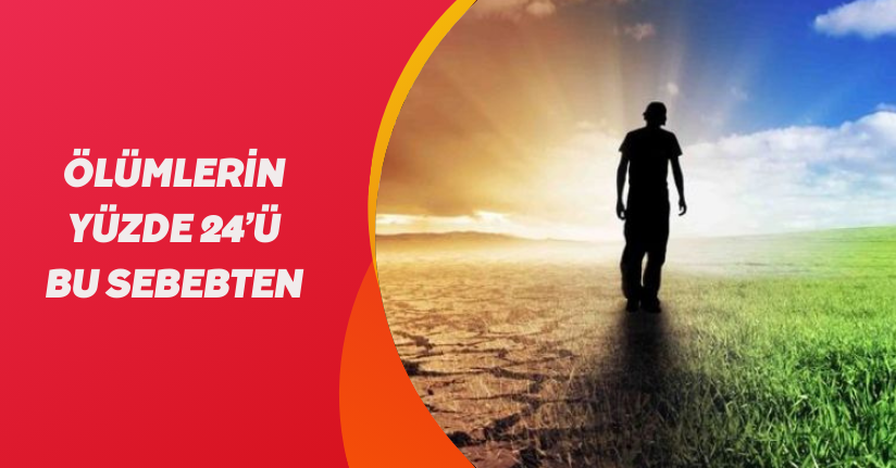 Küresel ölümlerin yüzde 24’ünün sebebi çevre kirliliği