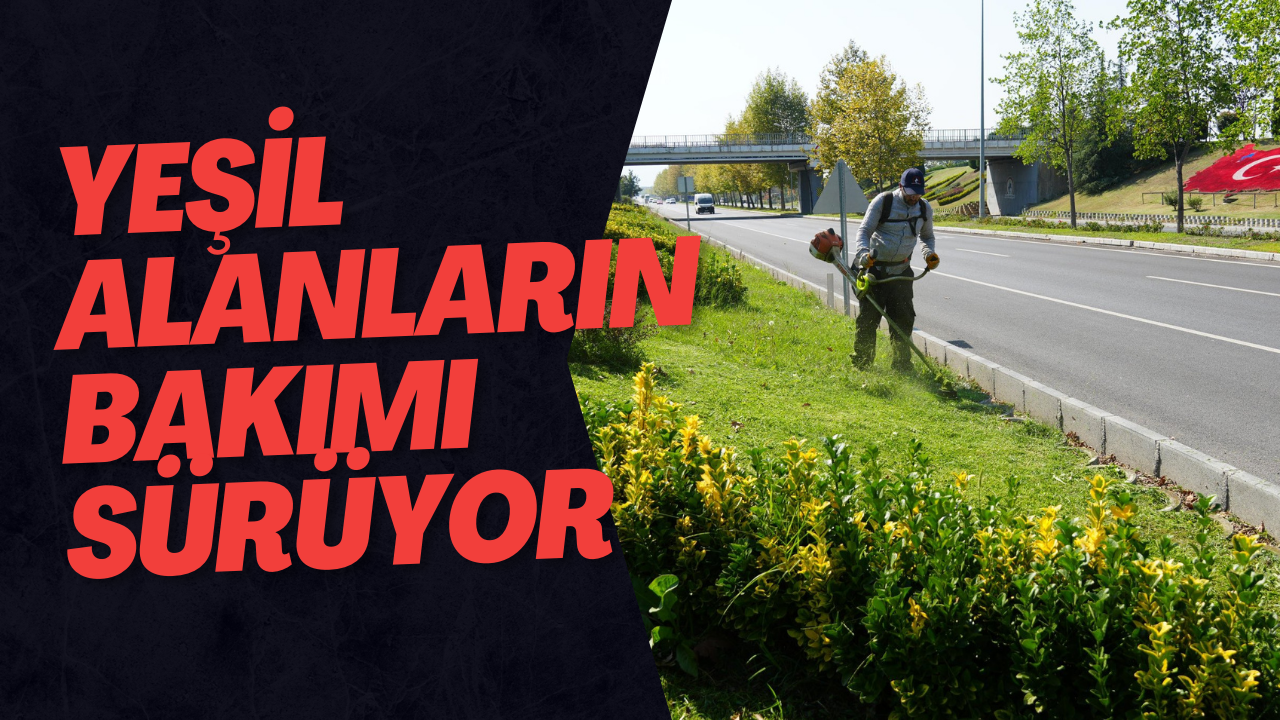 Yeşil Alanların Bakımı Sürüyor