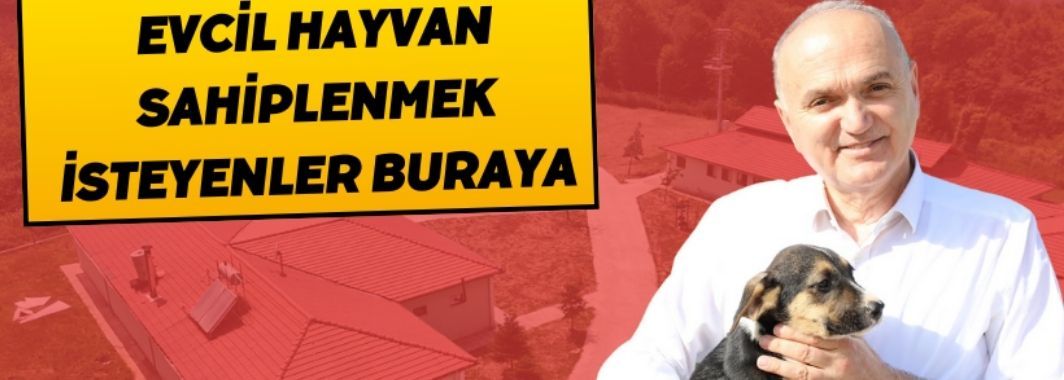 Evcil Hayvan Sahiplenmek İsteyenler Buraya