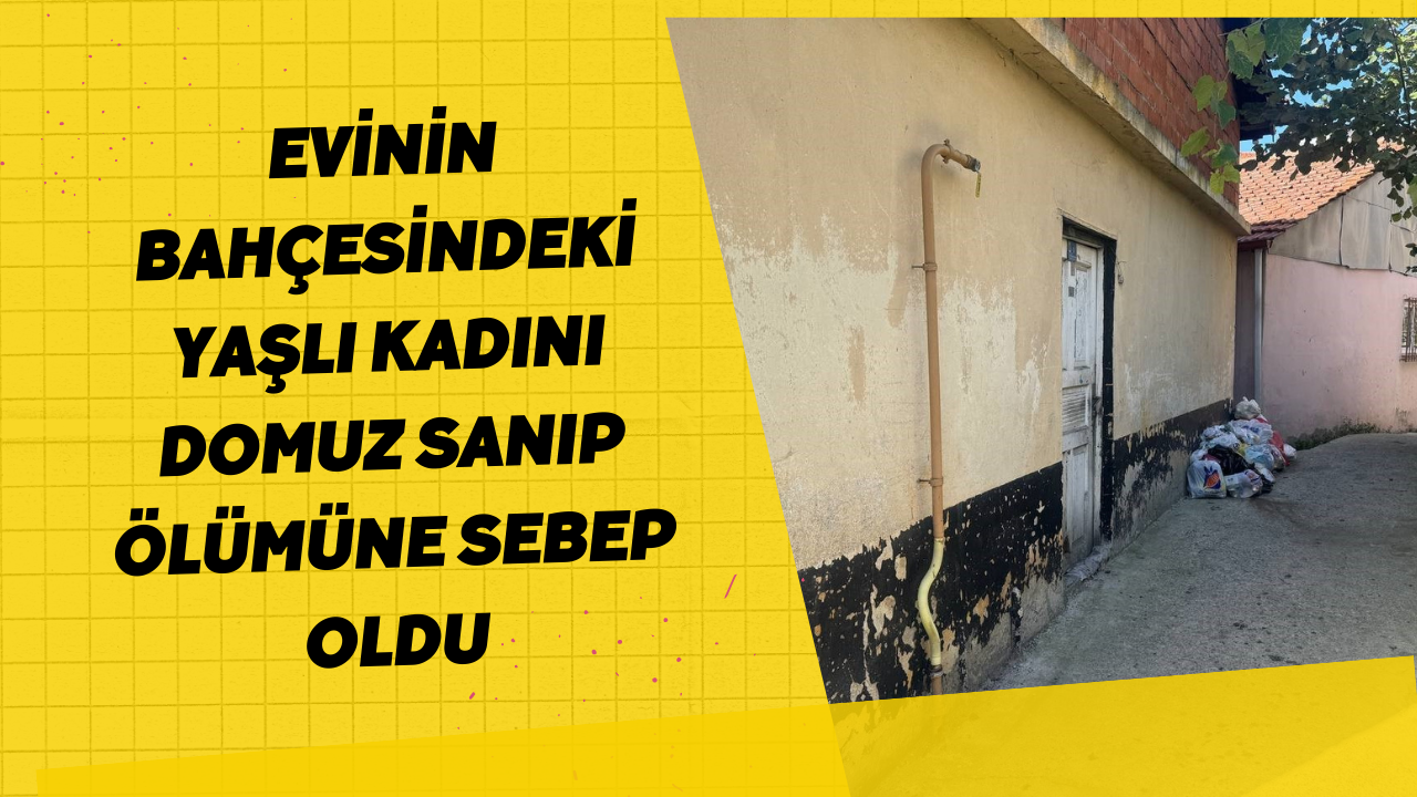 Evinin Bahçesindeki Yaşlı Kadını Domuz Sanıp Ölümüne Sebep Oldu