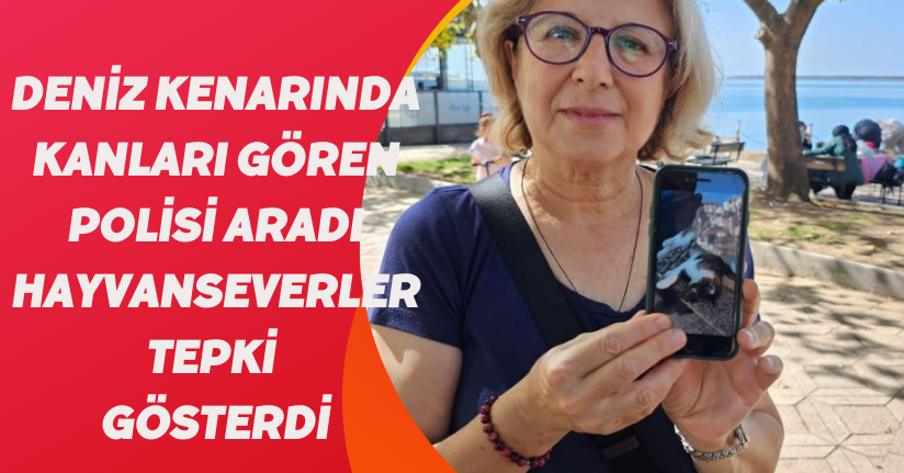 Deniz kenarında kanları gören polisi aradı, hayvanseverler tepki gösterdi