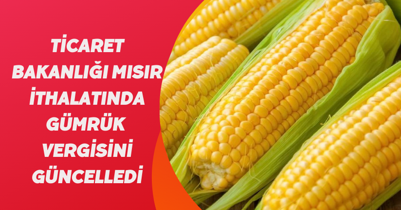 Ticaret Bakanlığı mısır ithalatında gümrük vergisini güncelledi