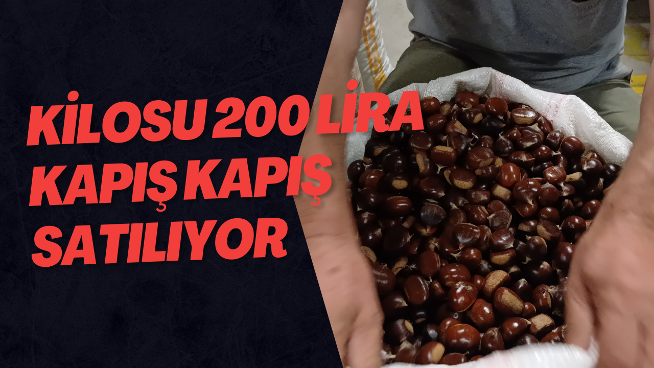 Kilosu 200 Lira, Kapış Kapış Satılıyor