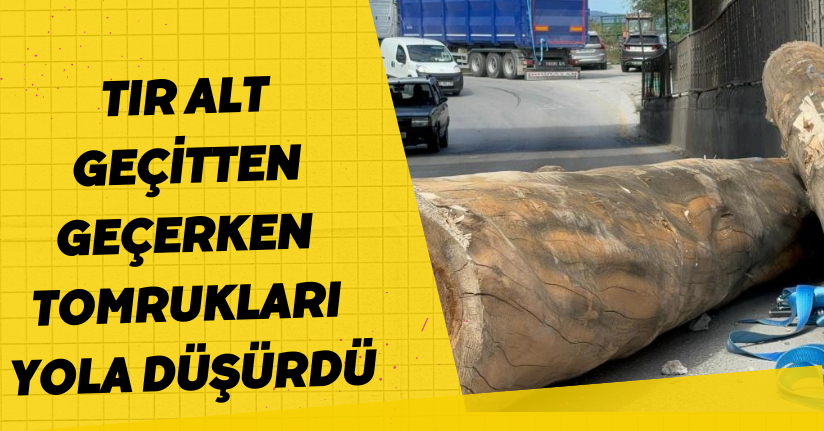 Tır alt geçitten geçerken tomrukları yola düşürdü