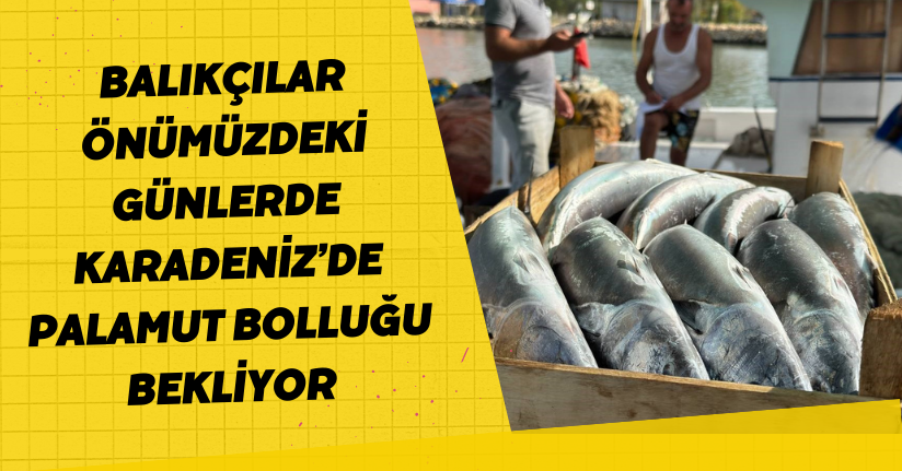 Balıkçılar önümüzdeki günlerde Karadeniz’de palamut bolluğu bekliyor